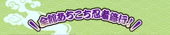 13.png